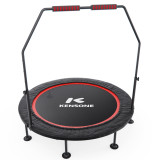 Батут для фитнеса DFC KENSONE 48" BSD-48-Black с поручнем