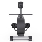 Гребной тренажер DFC ECHANFIT, магнитный