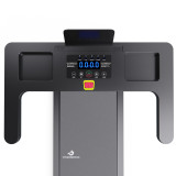 Беговая дорожка с поручнем DFC SpeedSports T-BA-310, 100 х 38 см / Bluetooth