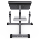 Скамья Скотта DFC Homegym AY001