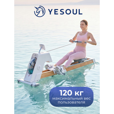Гребной тренажер DFC YESOUL SQ-RM2002YL, водный
